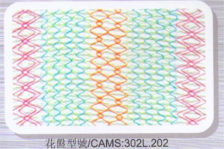 CAMS_302L.202