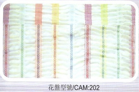 CAMS_202